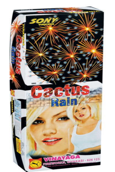 cactus rain (2 pcs)